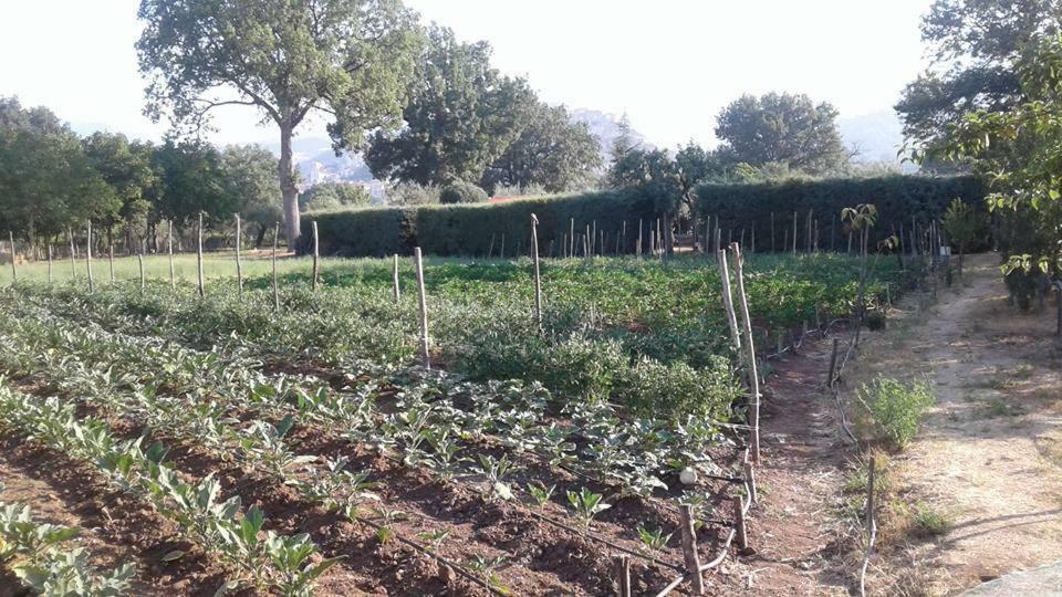 Agriturismo Tre Santi Villa Padula Dış mekan fotoğraf