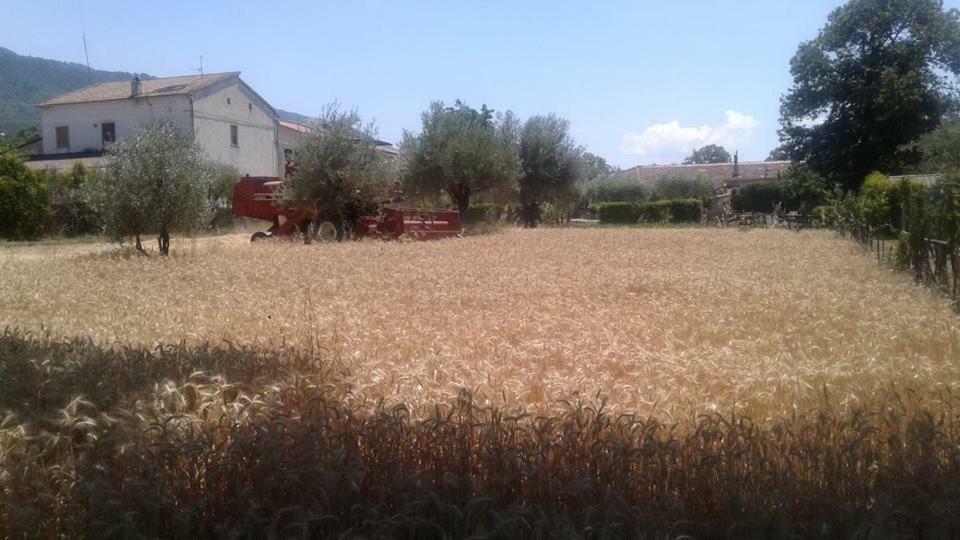 Agriturismo Tre Santi Villa Padula Dış mekan fotoğraf